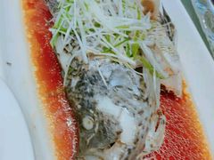 -宝燕壹号(徐汇店)