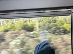 -龙阳路磁悬浮列车总站-停车场