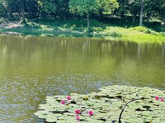-长广溪湿地公园