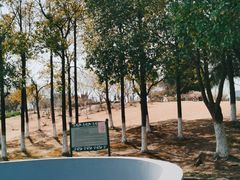 -白塘生态植物园