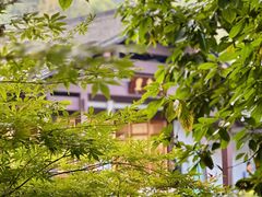 -杭州植物园
