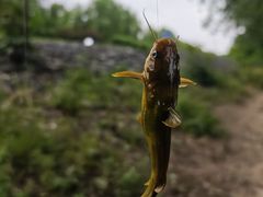 -洨河生态公园