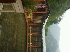 -Local泰莲庭(虹鳟鱼店)