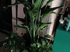 -洛阳宴·洛阳菜(南昌路店)