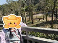 -中国大熊猫保护研究中心雅安碧峰峡基地
