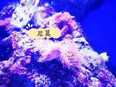 -成都浩海立方海洋公园