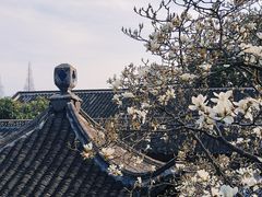 -何园