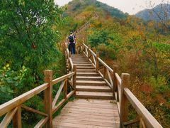 -大岭沟猕猴桃谷风景区