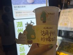 -猫的魔法密林(衣裳街店)