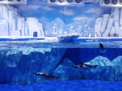 -石家庄市动物园