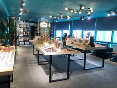 -Trend1881视光·蔡司视觉(领展广场店)