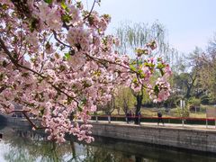 -元大都城垣遗址公园