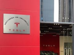 -TESLA 特斯拉(深圳观澜特斯拉直营钣喷中心)