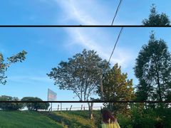 -合肥滨湖国家森林公园