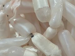 -章记正宗南岗鱼蛋火锅