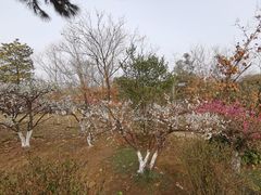 -天生桥景区