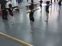 -西安小天鹅艺术团(金花路校区)