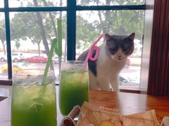 -more than meow吴止猫主题餐厅(承德 中船汇店)