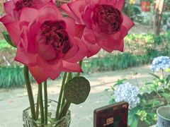-中和·国风茶馆(愚园路店)