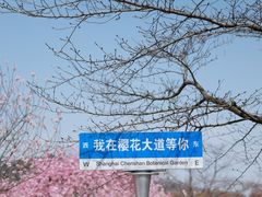 -上海辰山植物园