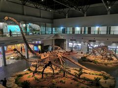 -自贡恐龙博物馆