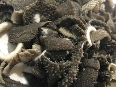 -东兴顺爆肚张