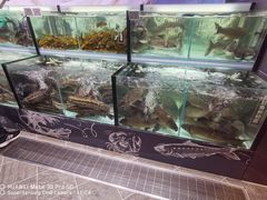 -黑土风情铁锅炖(兴业路店)
