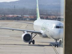 -威海大水泊国际机场