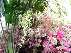 -深圳国际园林花卉博览园