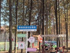 -上海海湾国家森林公园