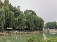-温江公园