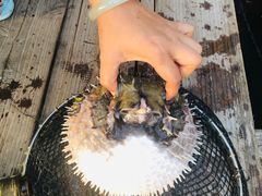 -蓝湾碧波·老字号·疍家非遗海上餐厅