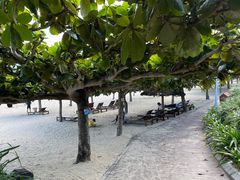 -三亚湾海居铂尔曼度假酒店