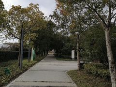 -尚贤河湿地