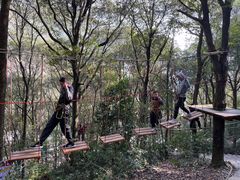 -衢州大荫山丛林飞越探险乐园