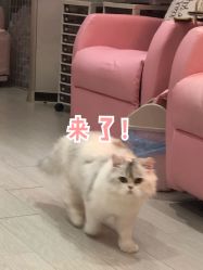 -Beauty Nails 美甲美睫皮肤管理