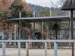 -苏州上方山国家森林公园