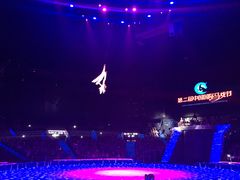 -珠海横琴长隆《卡卡虎奇遇记》