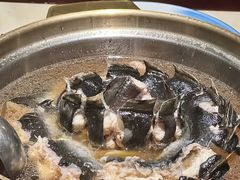 半酒鳗鱼-富黎华海鲜大酒楼(正大广场店)