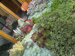 -木王宴语·野生鲜菌火锅(玉河店)