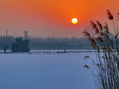 -大兴滨河森林公园