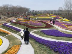 -南通洲际绿博园