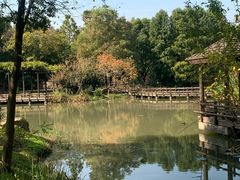 -上海长兴岛郊野公园