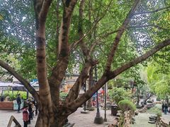 -黄龙溪古镇