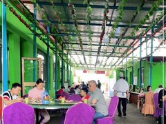 大堂-马白开来特色羊排揪片子  (总店)