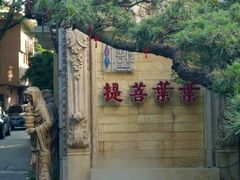 -叶叶菩提(太原别墅店)