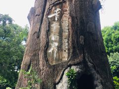 -青青世界