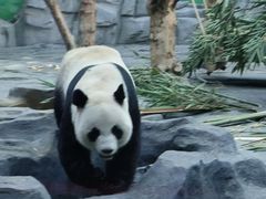 -秦皇岛野生动物园