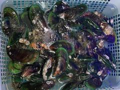 -湛江海鲜餐厅