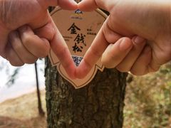 -四明山国家森林公园